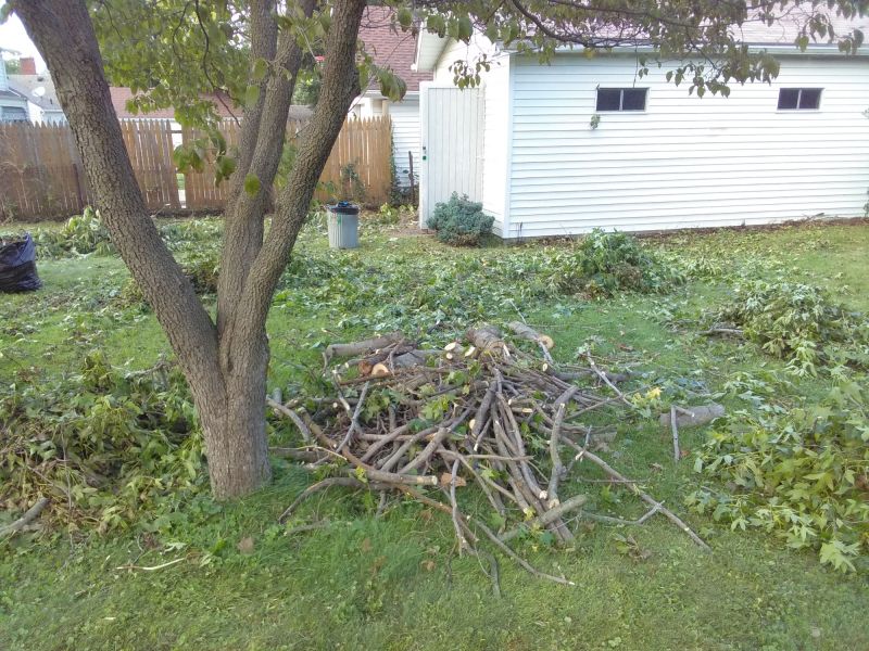 Tree Logging