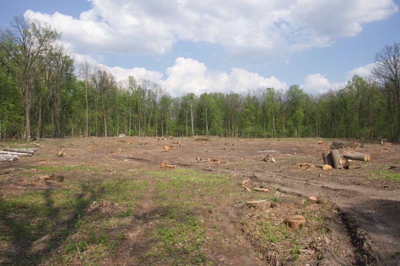Acreage Clearing in Cumming, GA