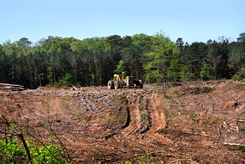 Bulldozer Clearing in Cumming, GA