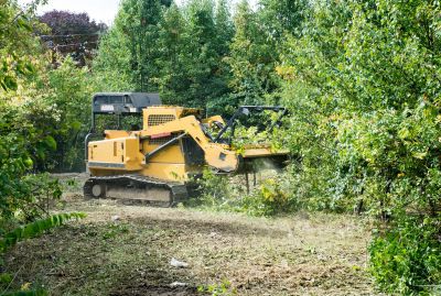 Ground Clearing in Atlanta, GA