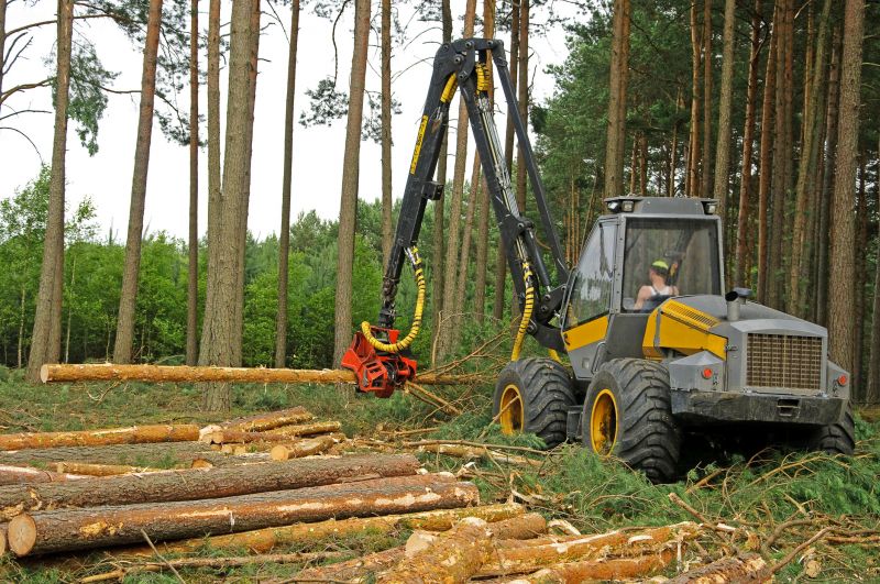 Logging Machinery Operating