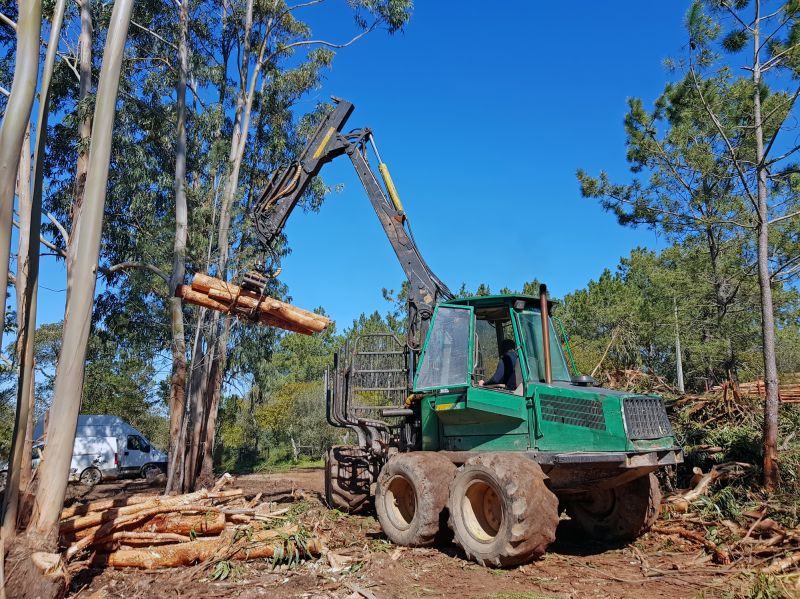 Tree Logging Equipment in Action