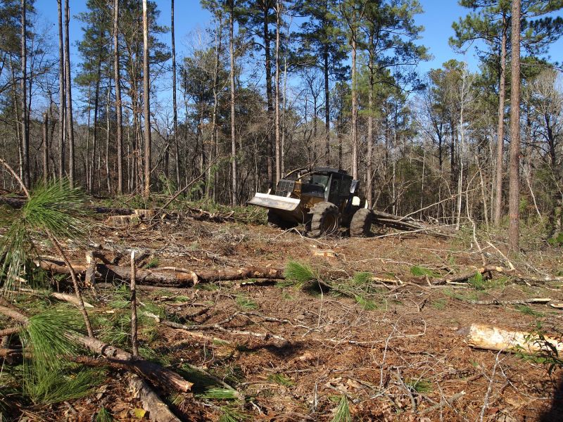 Logging Equipment in Action