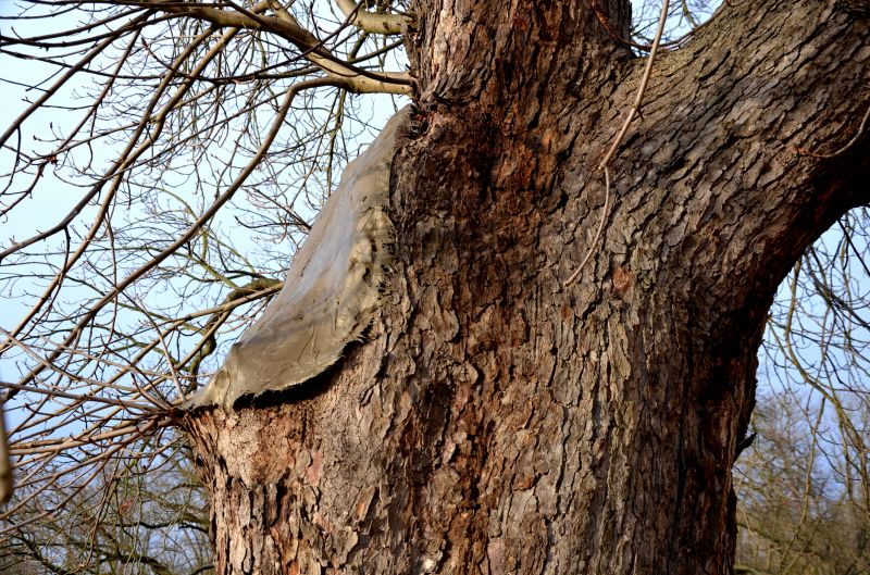 Material Picks that Last