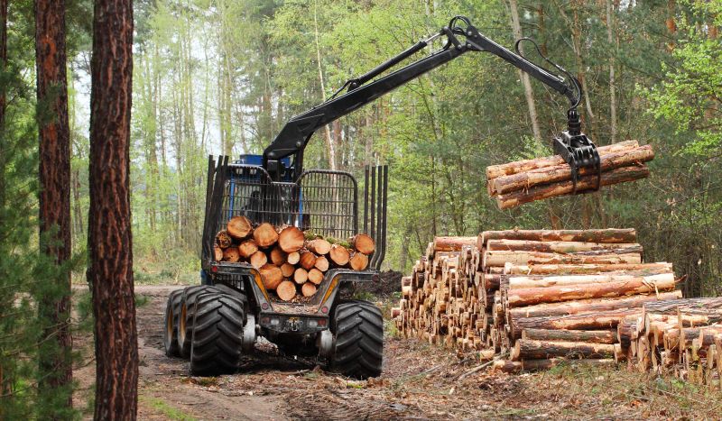Logging Equipment Suppliers